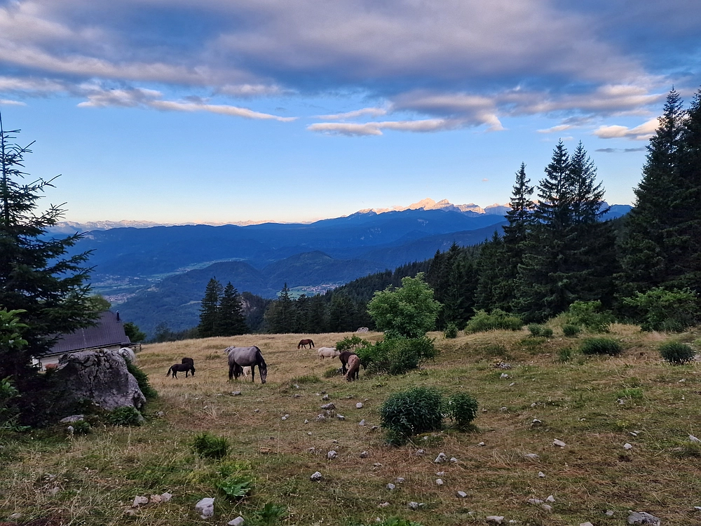 Slika je vidna v Google Chromu.