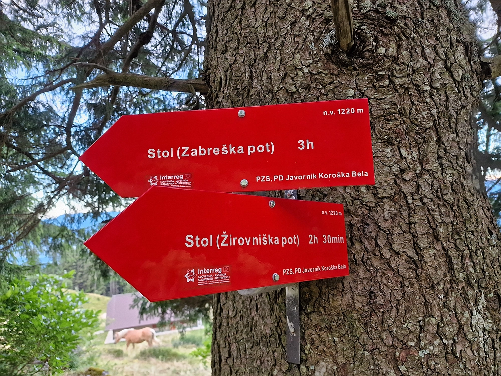 Slika je vidna v Google Chromu.