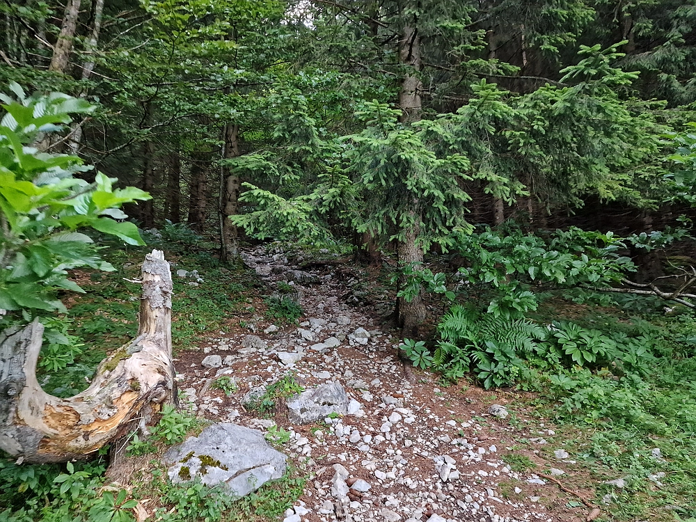 Slika je vidna v Google Chromu.