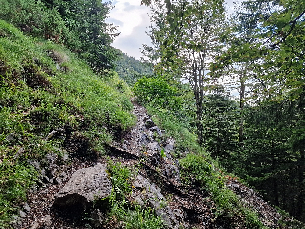 Slika je vidna v Google Chromu.