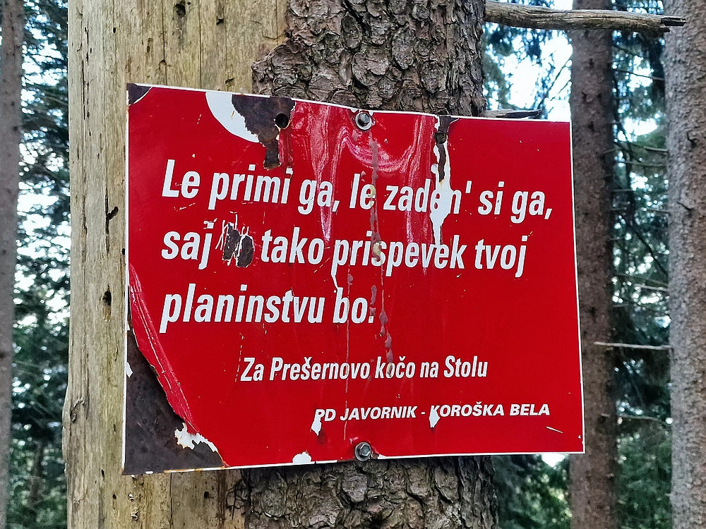 Slika je vidna v Google Chromu.