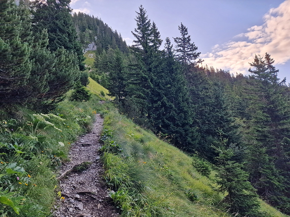 Slika je vidna v Google Chromu.