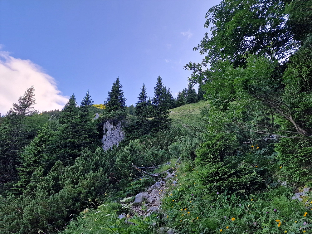 Slika je vidna v Google Chromu.