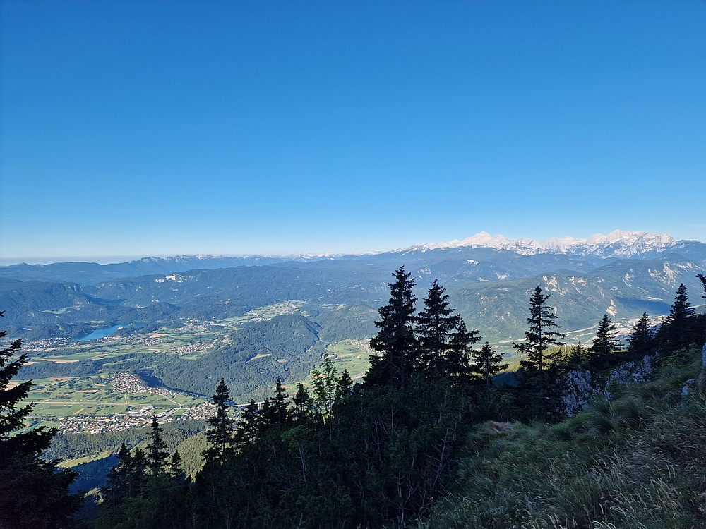 Slika je vidna v Google Chromu.