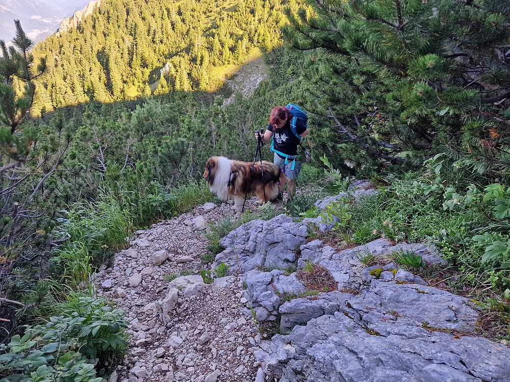 Slika je vidna v Google Chromu.