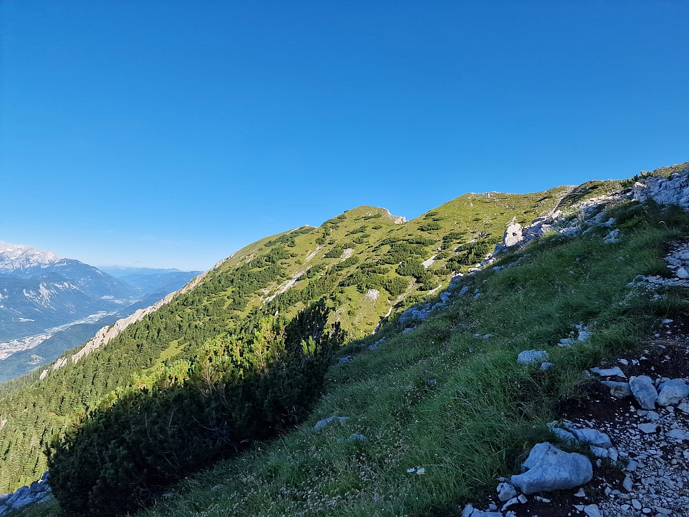 Slika je vidna v Google Chromu.