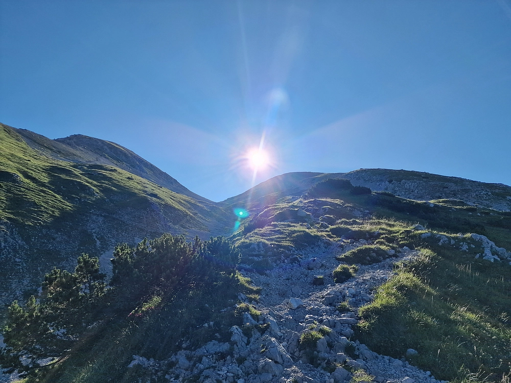 Slika je vidna v Google Chromu.