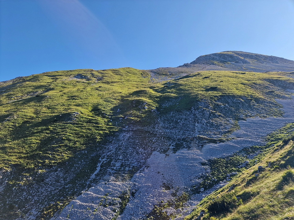 Slika je vidna v Google Chromu.