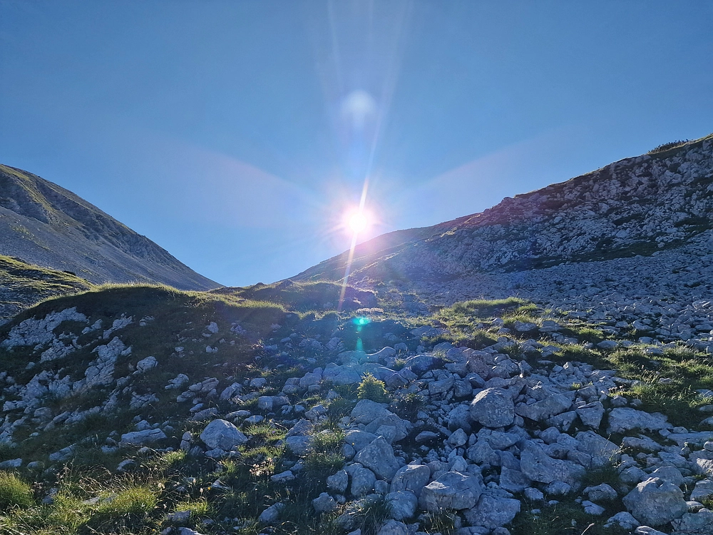 Slika je vidna v Google Chromu.