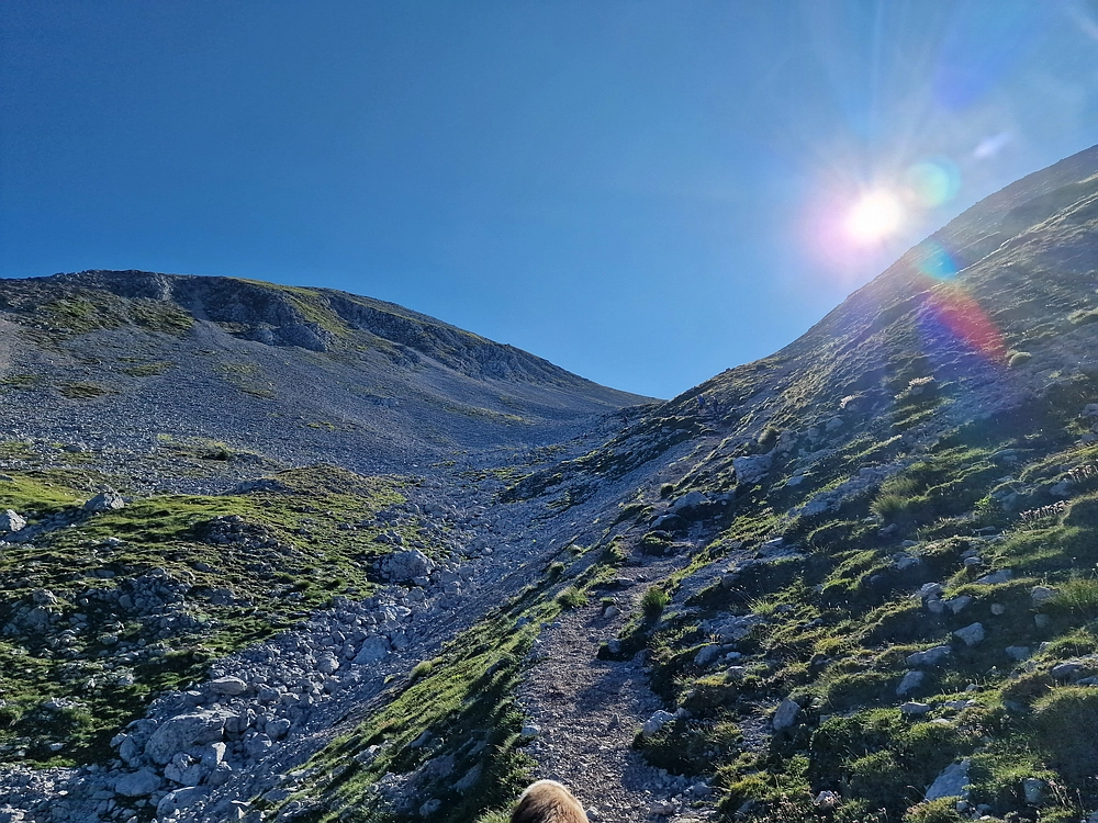 Slika je vidna v Google Chromu.
