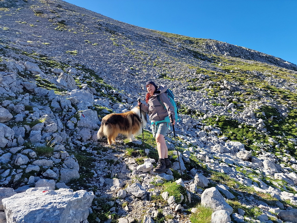 Slika je vidna v Google Chromu.