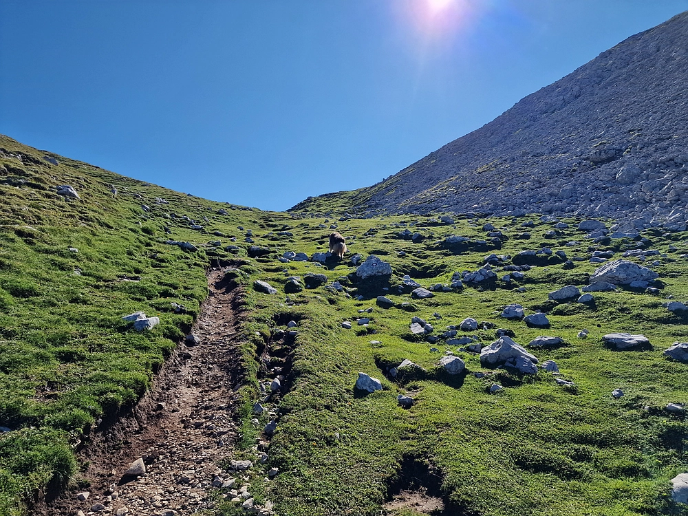 Slika je vidna v Google Chromu.