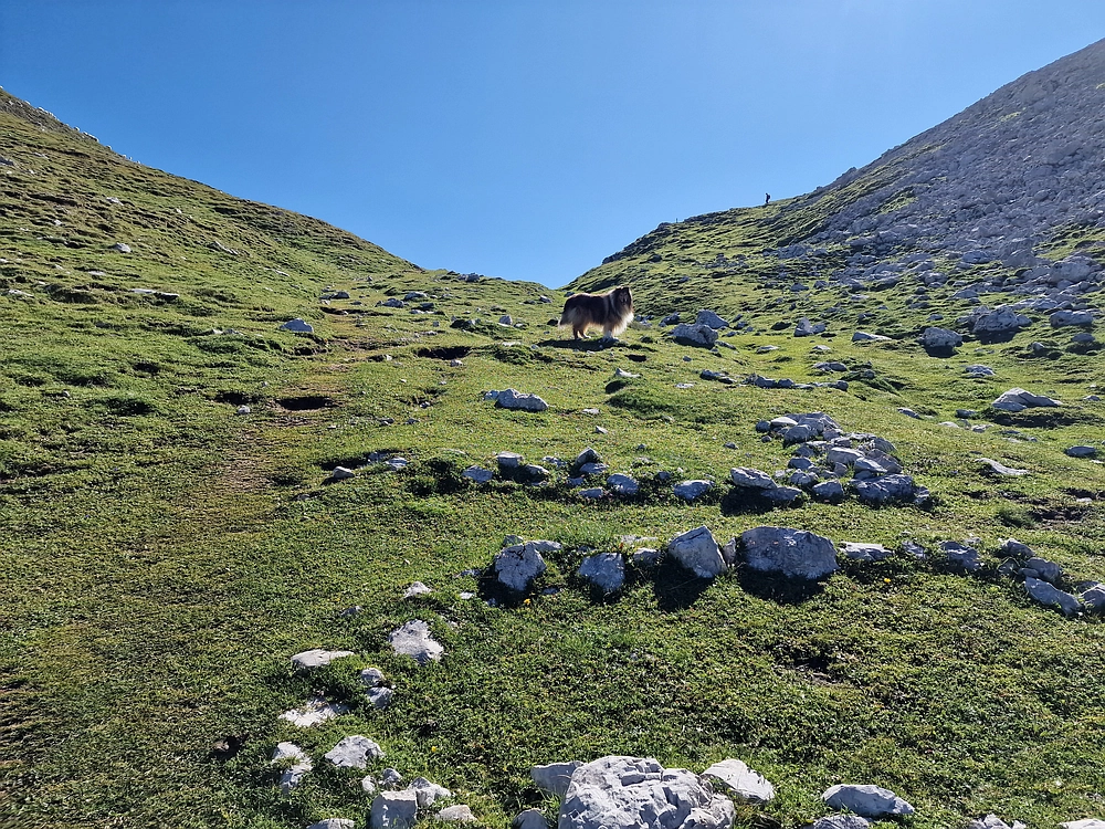 Slika je vidna v Google Chromu.