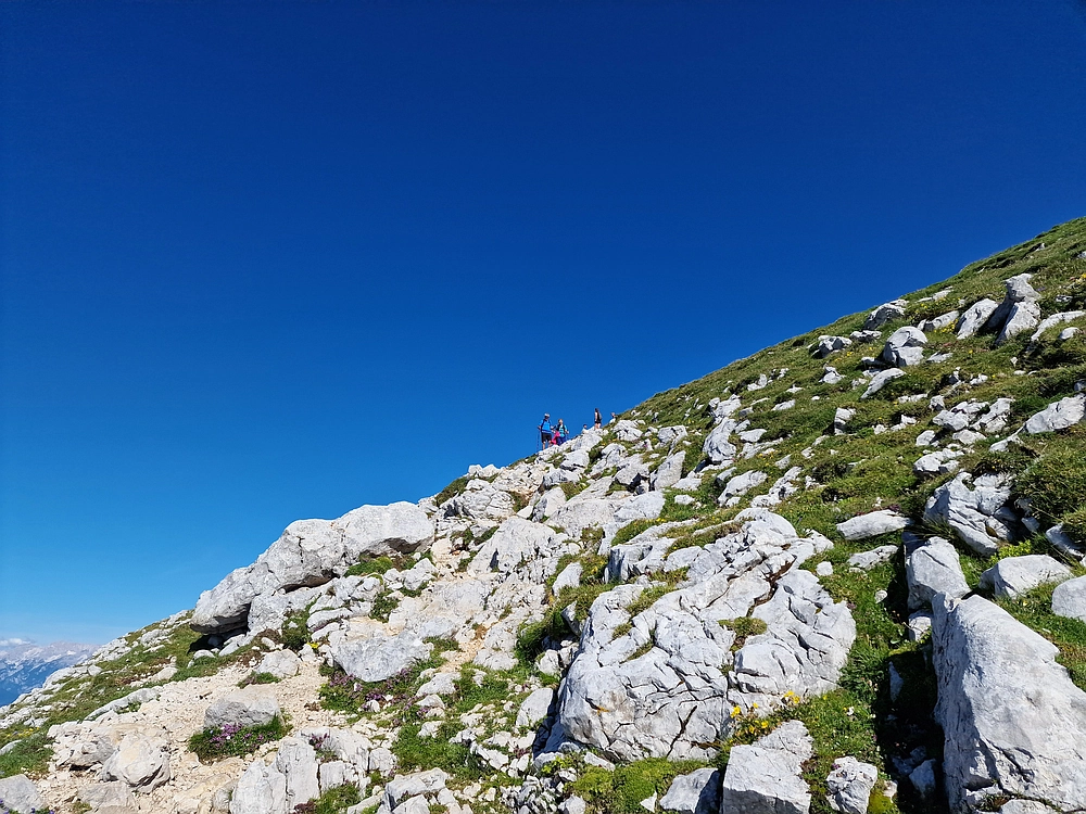 Slika je vidna v Google Chromu.