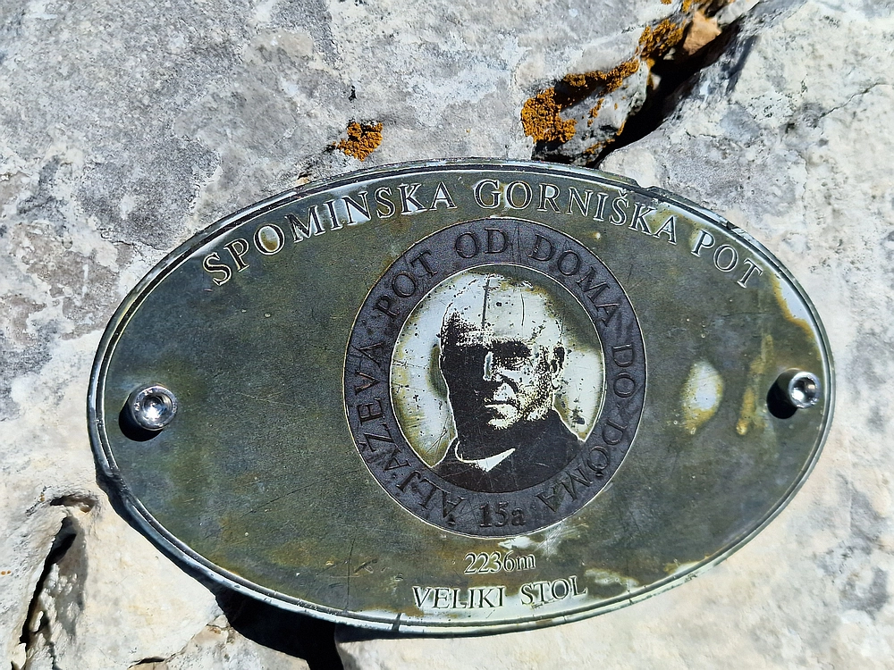 Slika je vidna v Google Chromu.