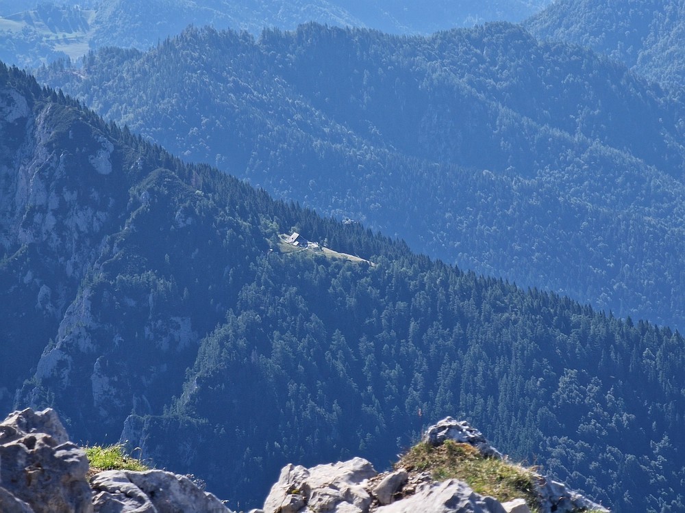 Slika je vidna v Google Chromu.