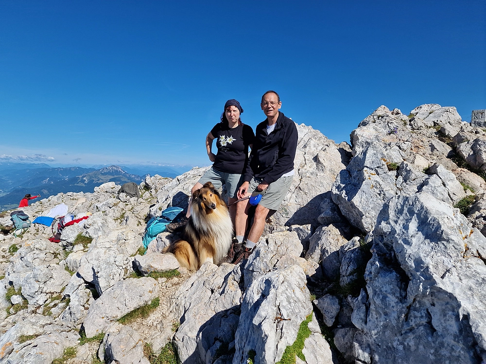 Slika je vidna v Google Chromu.