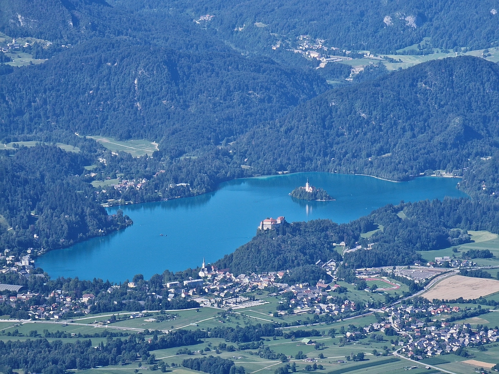 Slika je vidna v Google Chromu.