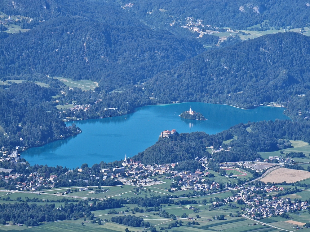 Slika je vidna v Google Chromu.