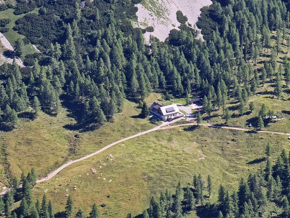 Slika je vidna v Google Chromu.