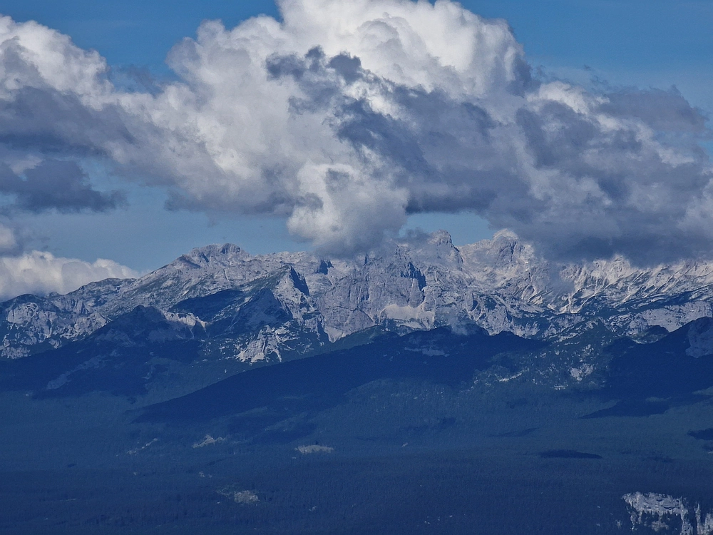 Slika je vidna v Google Chromu.