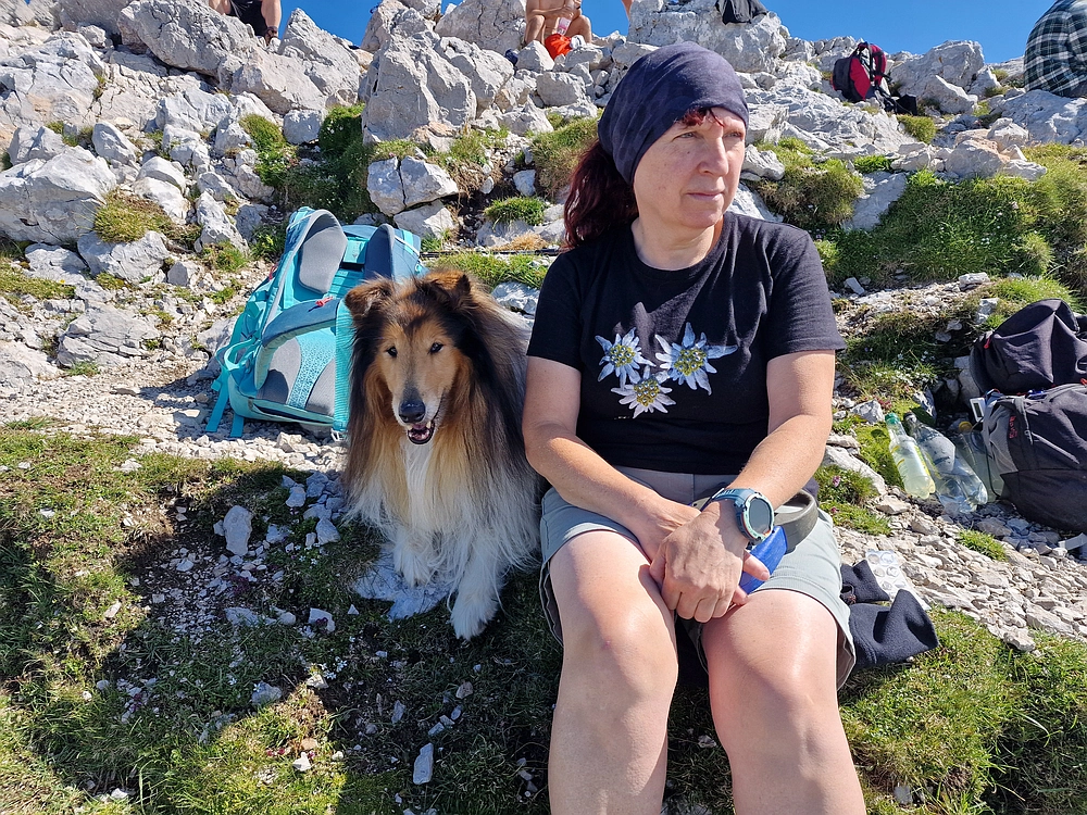 Slika je vidna v Google Chromu.