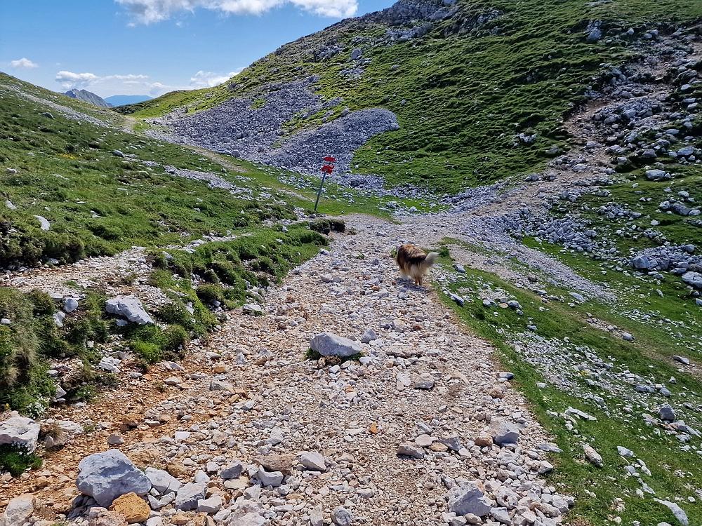 Slika je vidna v Google Chromu.