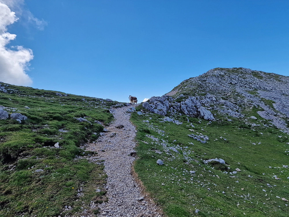 Slika je vidna v Google Chromu.