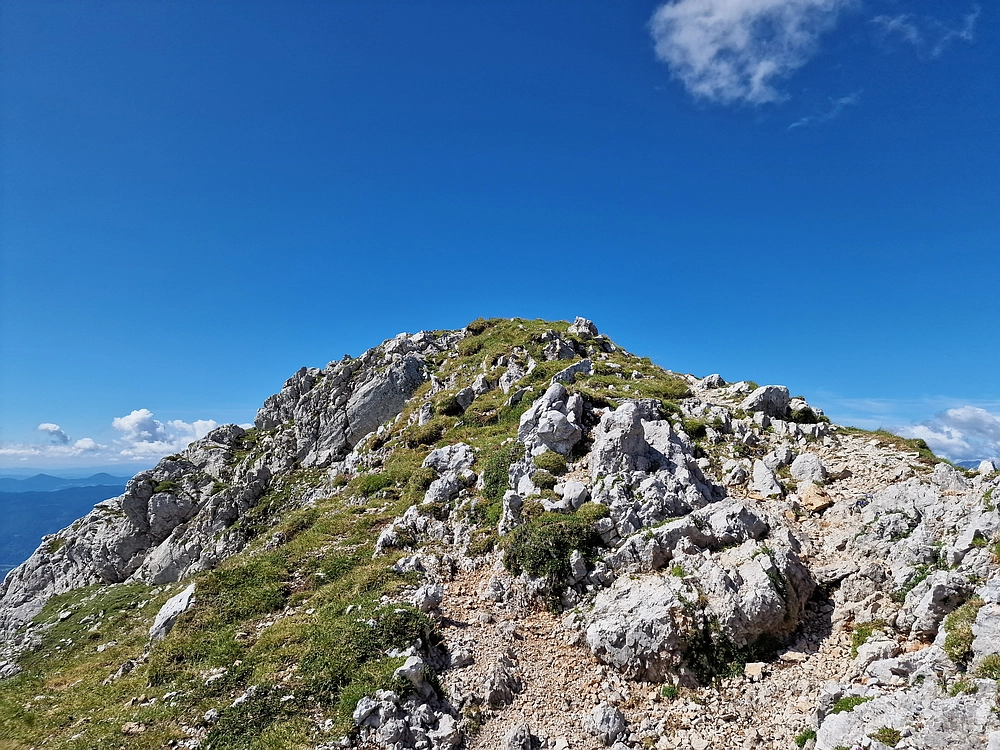 Slika je vidna v Google Chromu.