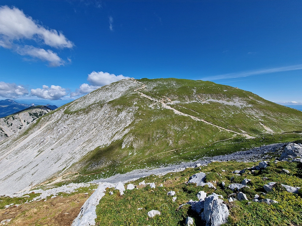 Slika je vidna v Google Chromu.