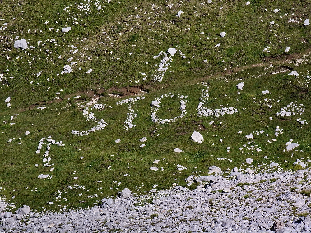 Slika je vidna v Google Chromu.