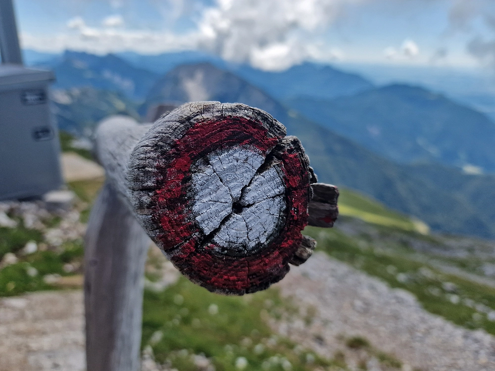 Slika je vidna v Google Chromu.