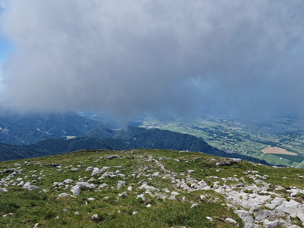 Slika je vidna v Google Chromu.