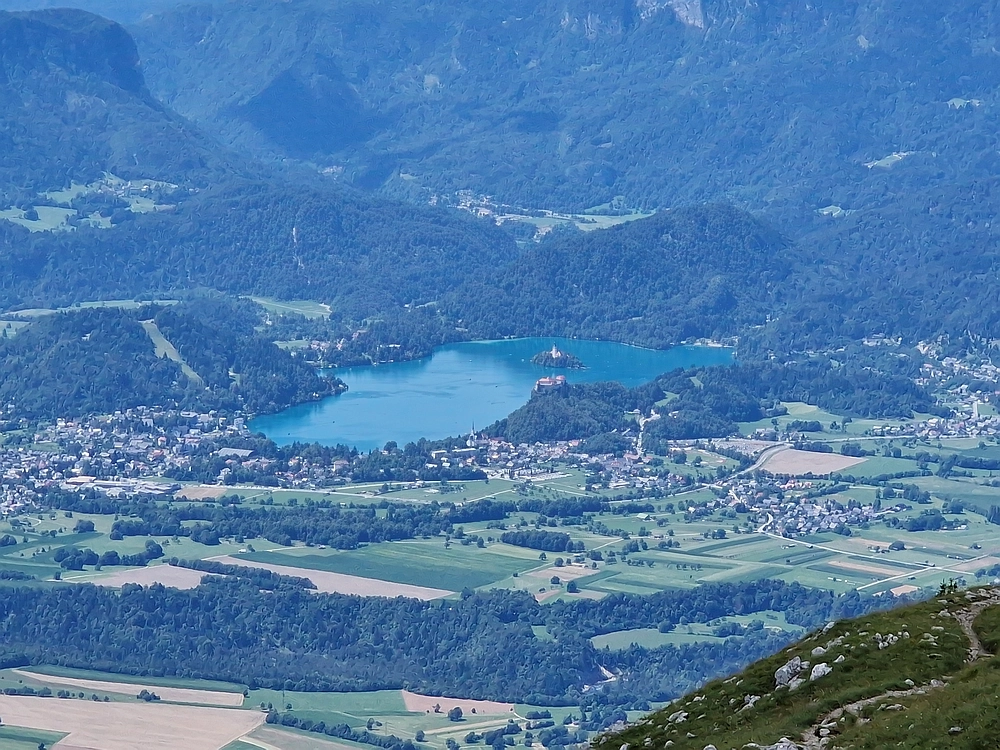 Slika je vidna v Google Chromu.
