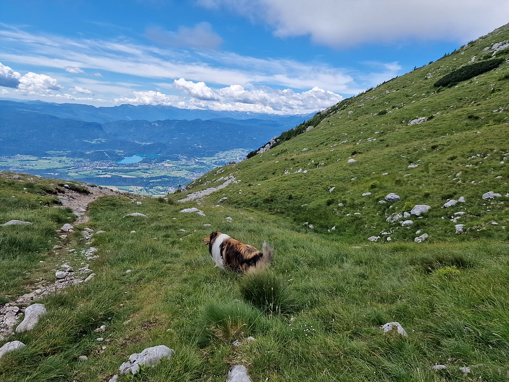 Slika je vidna v Google Chromu.