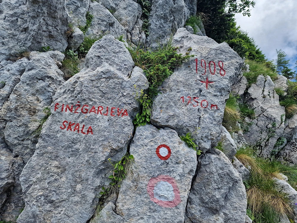 Slika je vidna v Google Chromu.