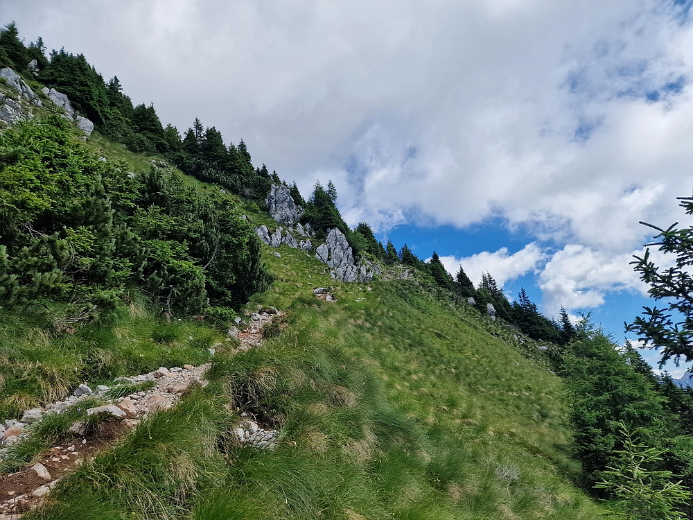 Slika je vidna v Google Chromu.