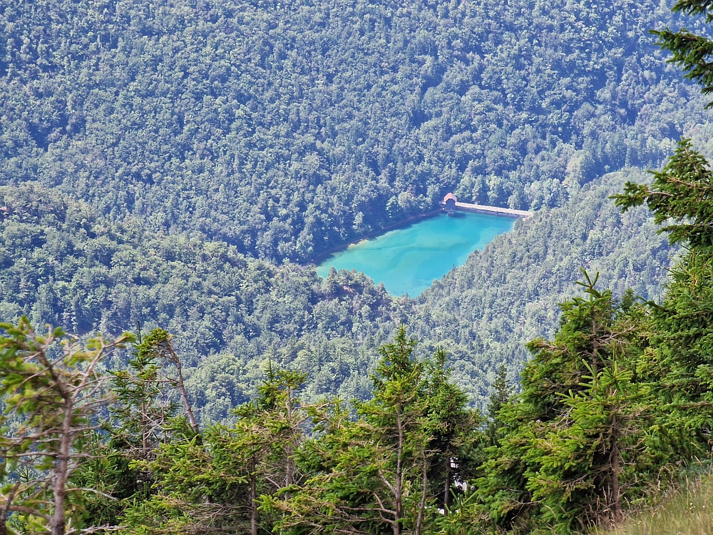 Slika je vidna v Google Chromu.