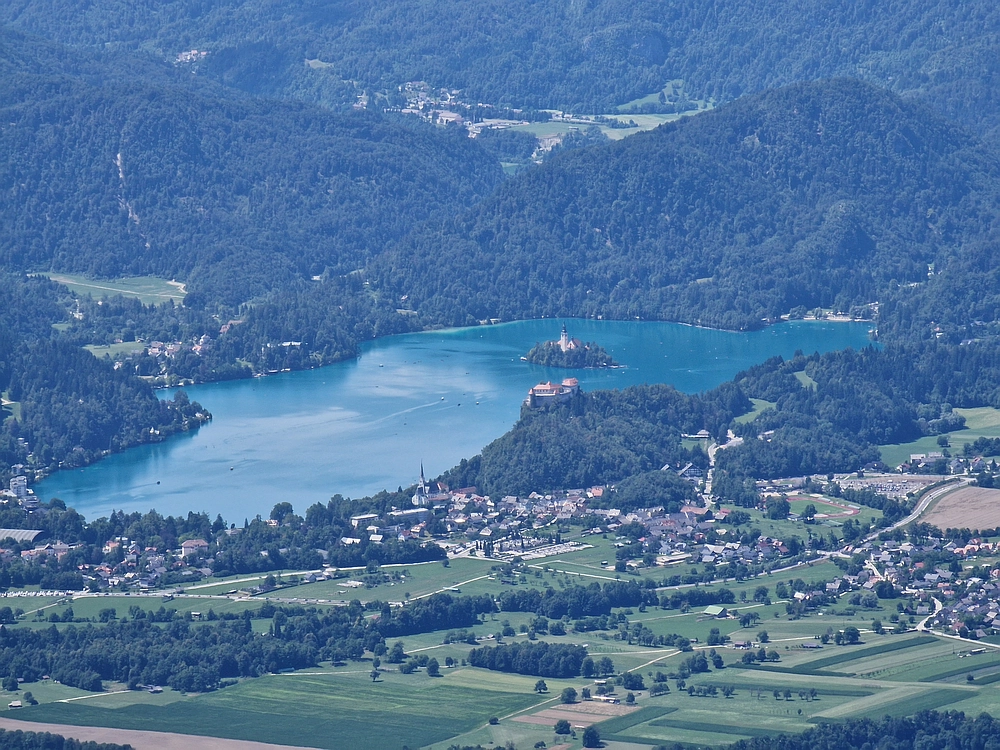 Slika je vidna v Google Chromu.