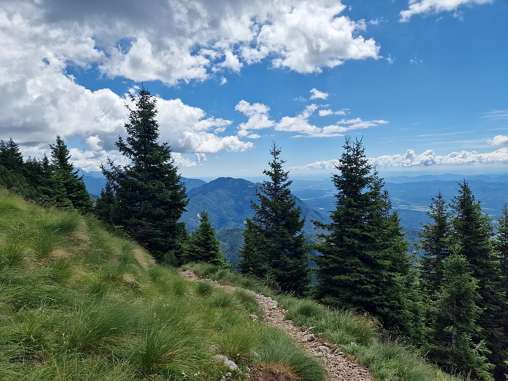 Slika je vidna v Google Chromu.