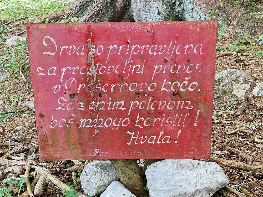 Slika je vidna v Google Chromu.