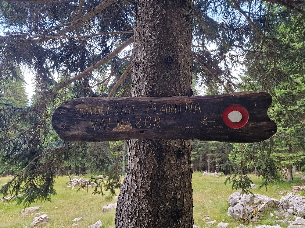 Slika je vidna v Google Chromu.