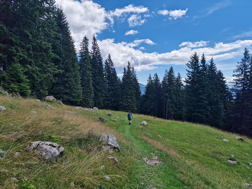 Slika je vidna v Google Chromu.
