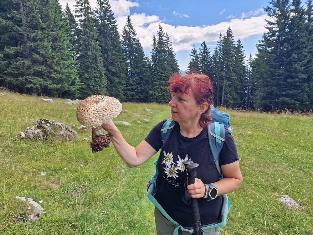 Slika je vidna v Google Chromu.