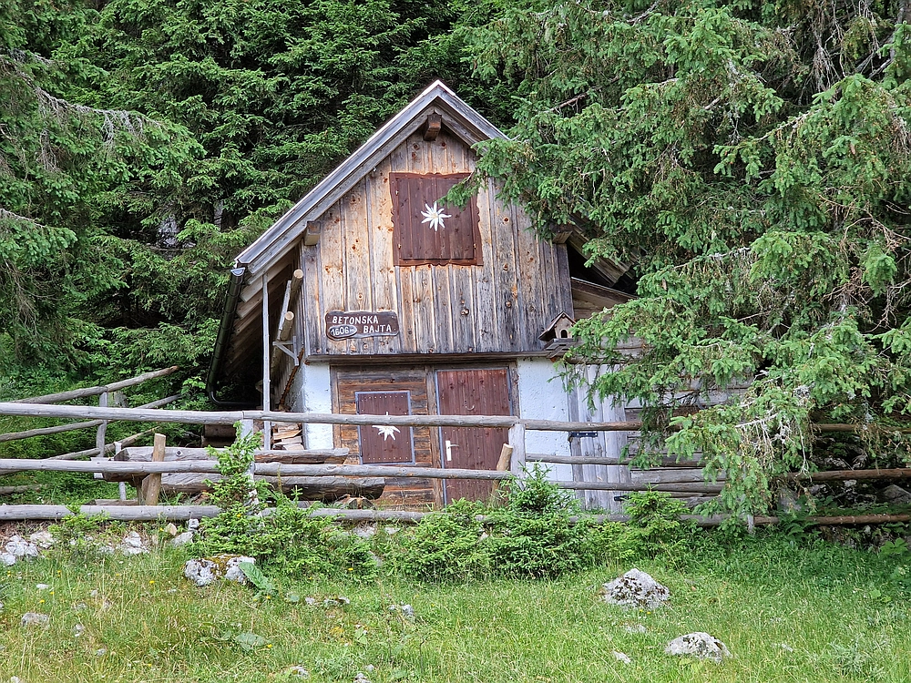 Slika je vidna v Google Chromu.