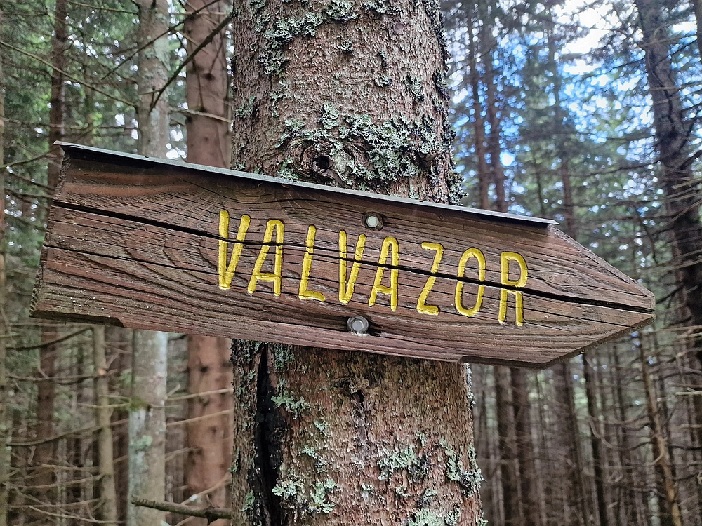 Slika je vidna v Google Chromu.