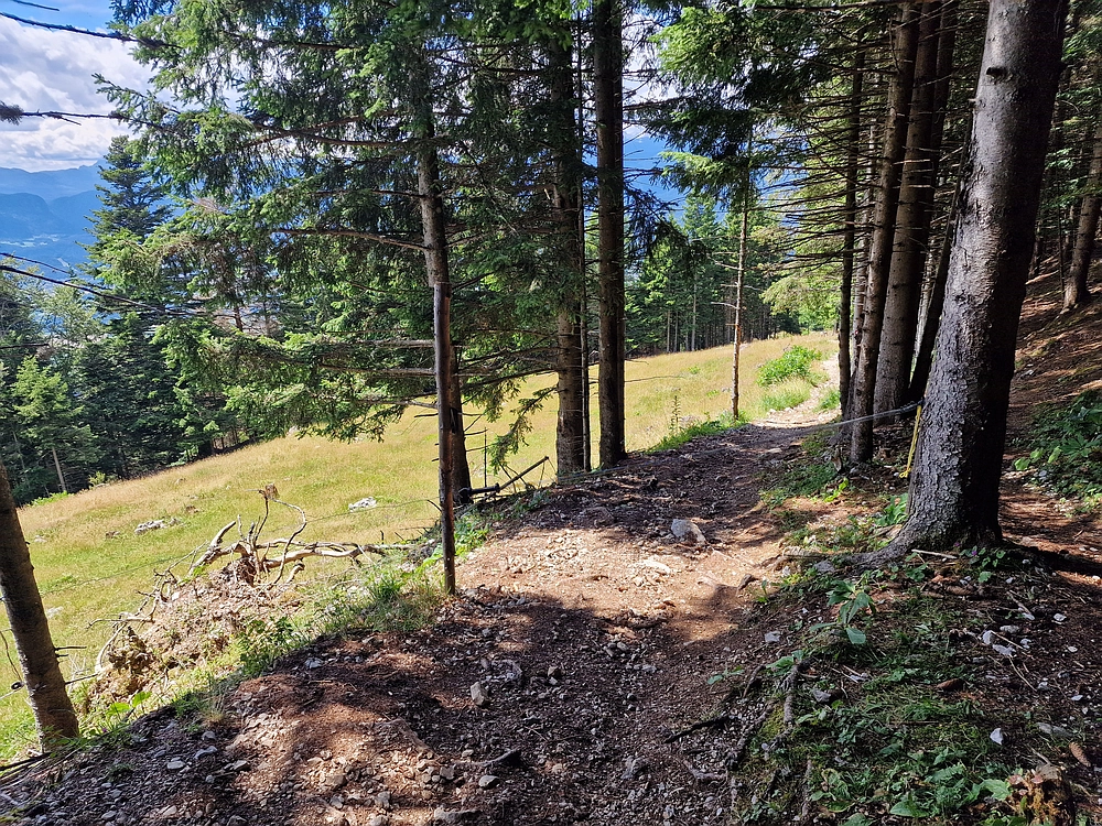 Slika je vidna v Google Chromu.