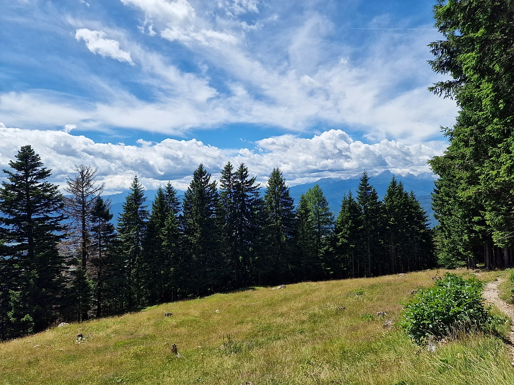 Slika je vidna v Google Chromu.