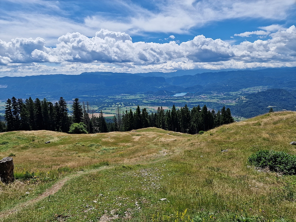 Slika je vidna v Google Chromu.