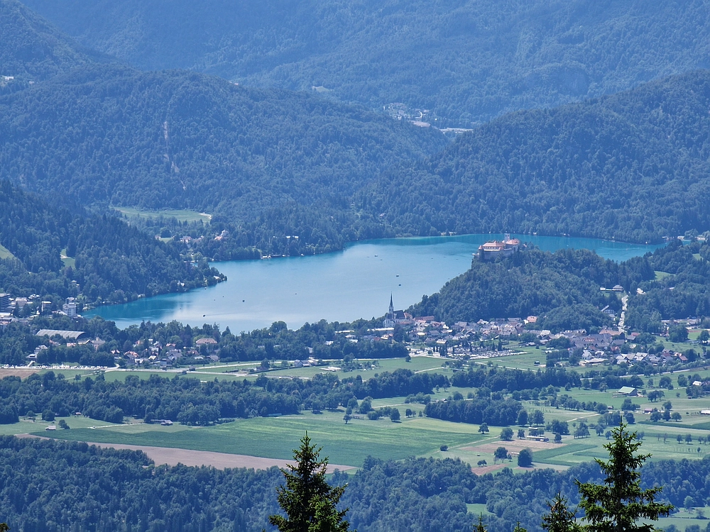 Slika je vidna v Google Chromu.